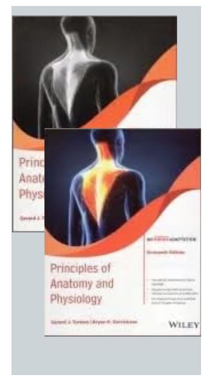 Principles of Anatomy and Physiology with Study Guide An Indian Adaptation 16th Edition